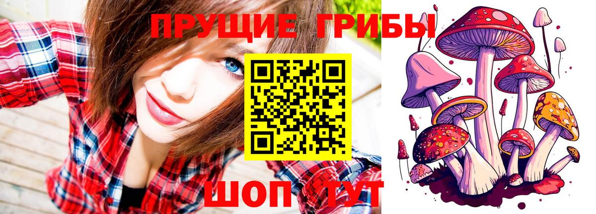 Москва  Галлюциногенные грибы Cubensis  Псилоцибиновые грибы GOLDEN TEACHER  Вход с VPN 